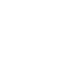 Individual Therapy Programs